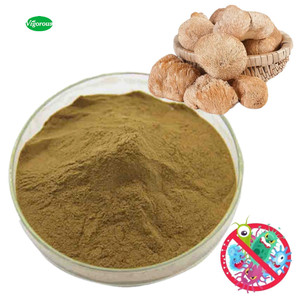 Dried Hericium Erinaceus Mushroom Powder Extract Lions Mane Mushroom Extract Powder