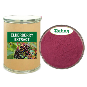 Elderberry Fruit Extract Powder Anthocyanins