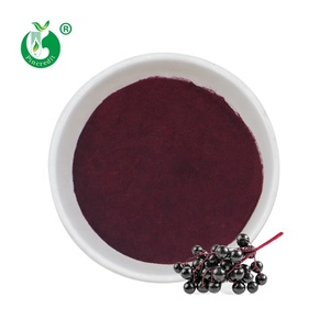 Water Soluble 25% Anthocyanins Elderberry Powder