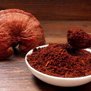 Wholesale Pure Reishi Mushroom Powder Ganoderma Lucidum Spore Herbal Extract