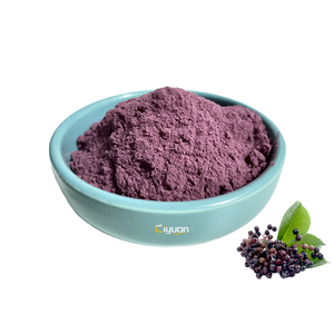Customized Elderberry Fruit Extract Powder