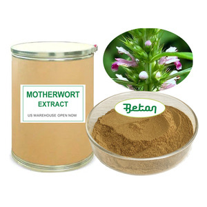 Motherwort & Elderberry Extract Powder