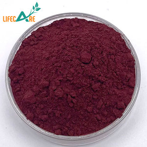 Bulk 25% Anthocyanins Black Elderberry Powder