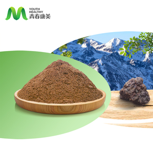 Quality Wholesale Natural Shilajit Extract Powder 20% Fulvic Acid